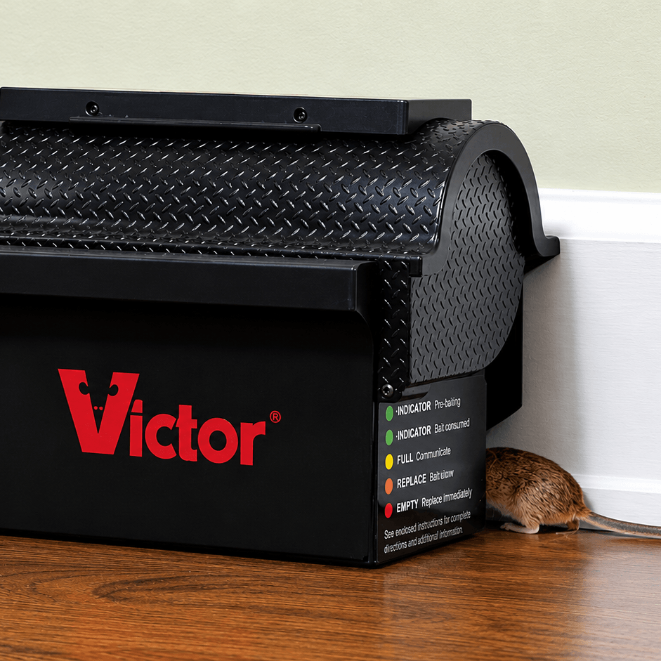 Victor rottefelle